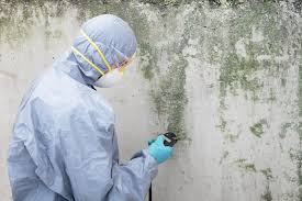 Mold Remediation for Vacation Homes in San Anselmo, CA